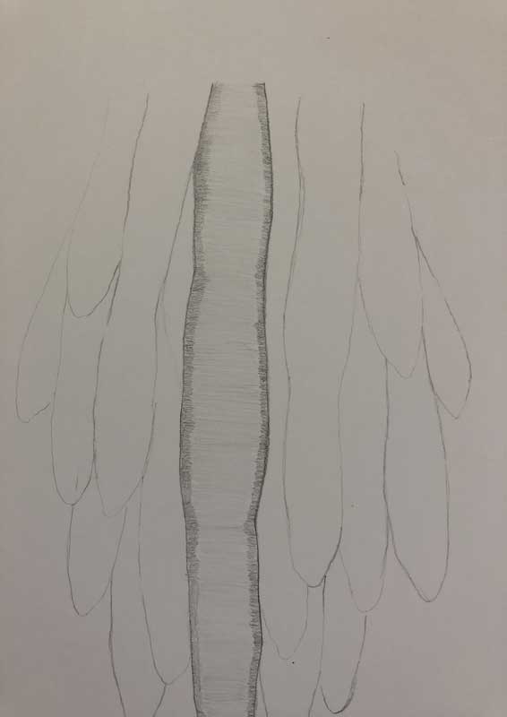 グロテスクな腸のようなものを鉛筆で描く手順を紹介 グロ絵研究所