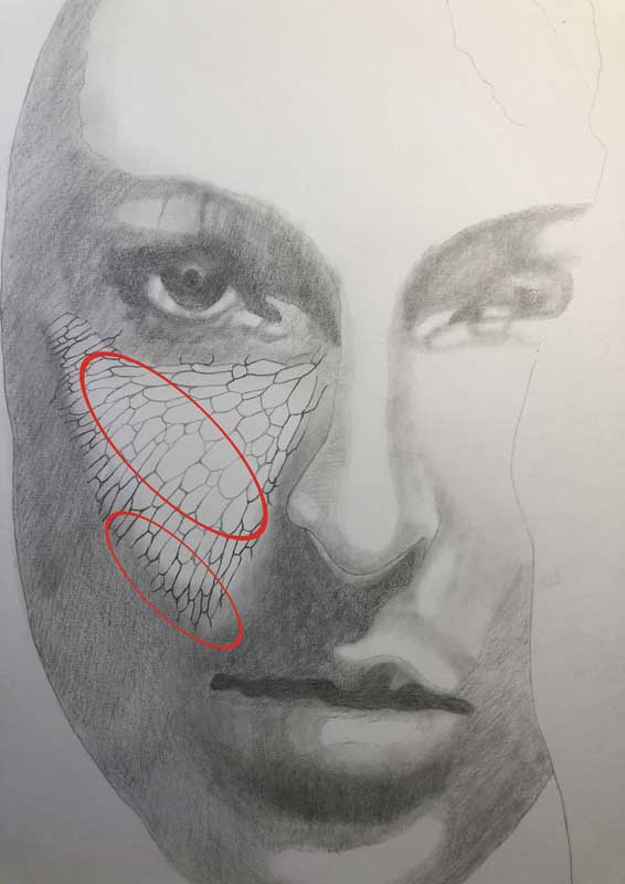 蛇のようなウロコの肌を鉛筆で描く手順 画像で説明 グロ絵研究所