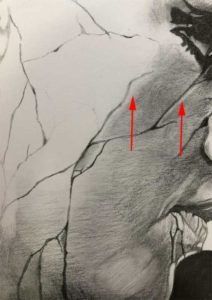 鉛筆 ヒビが入った顔の描き方を画像付きで解説します グロ絵研究所