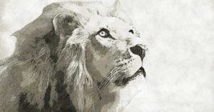 リアルな絵を描く為のトレース方法