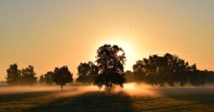 あるきっかけで「自分の絵」に自信が持てるようになった