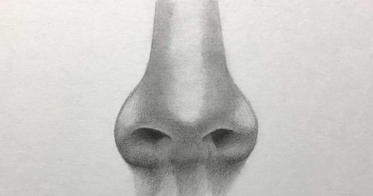 初心者向け 平均的な 鼻 を鉛筆で描く手順を解説 グロ絵研究所