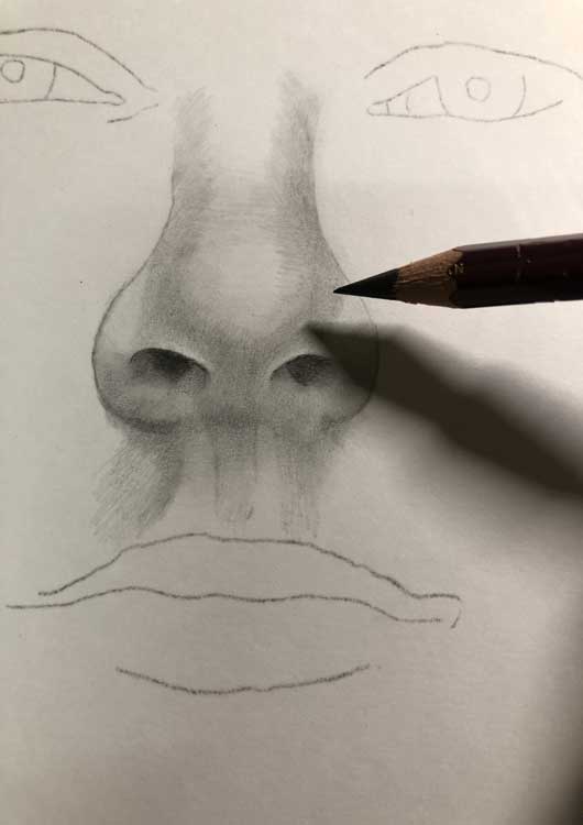 初心者向け 平均的な 鼻 を鉛筆で描く手順を解説 グロ絵研究所