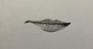 鉛筆デッサン「口」を描く時のコツと手順