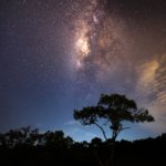 パステルを始める人へ、まずはパステル1画材に注力すべき理由