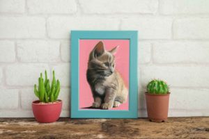 簡単！パステル画を描く前の大切な「準備」や「マインド」！！