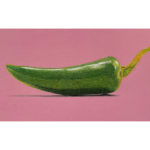 パステル画の「独学」や「安いパステル」は超危険です・・