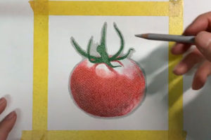 パステル画初級者さんへ「上達の為の環境作り」を伝達！！