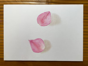 パステル画_花びらをリアルに描く1つの方法を紹介！