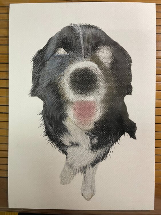 淡雪の狼 色鉛筆画 パステル 狼 鉛筆画 - メルカリ